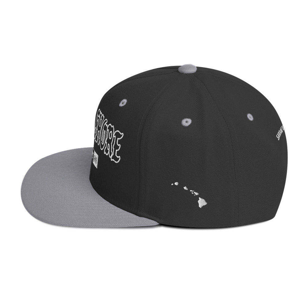 North Shore Snapback Hat — Black/ Silver — left side view