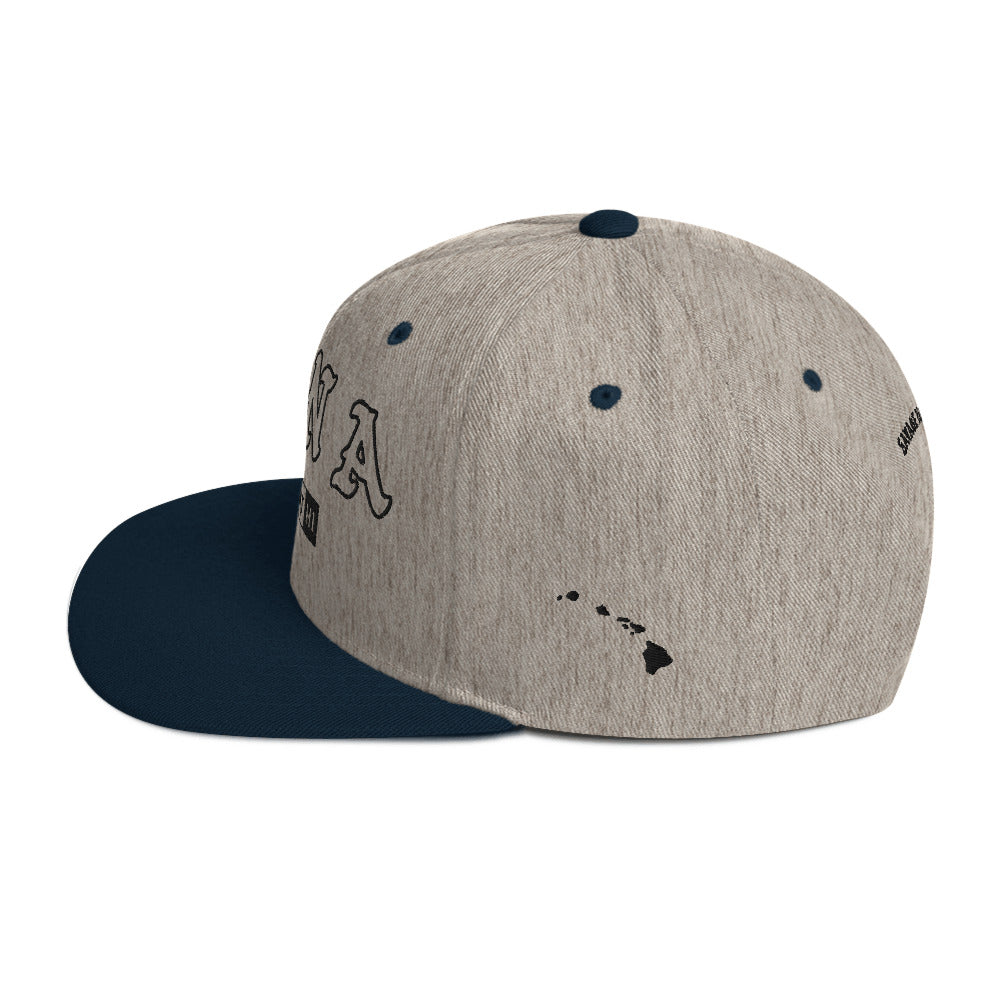 Puna Snapback Hat — Heather Grey/ Navy — left side view