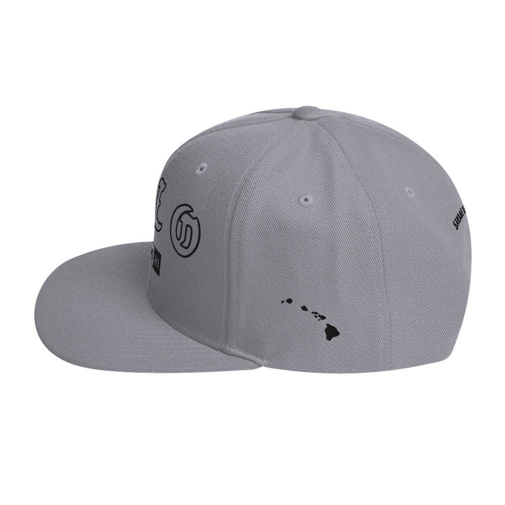 Hilo Snapback Hat — Silver — left side view